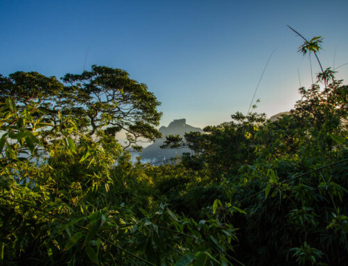 Pedra da Gávea