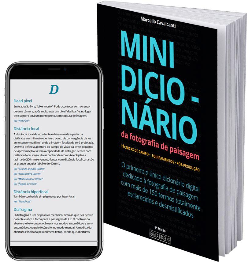 Fenômeno - Dicio, Dicionário Online de Português