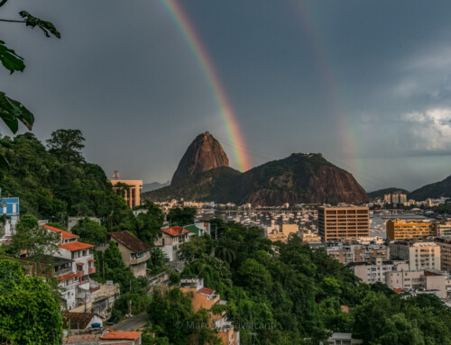 Pão de ouro