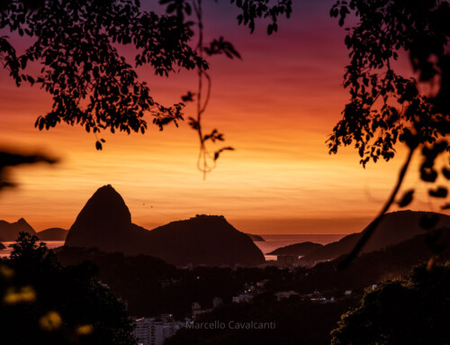 Céu em chamas