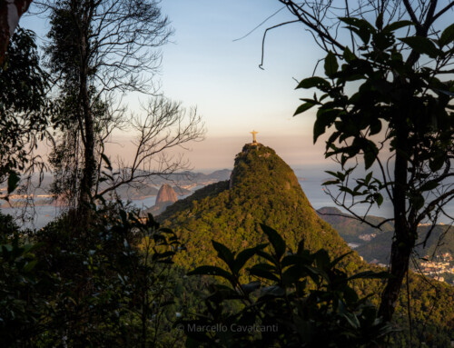 Luz baixa