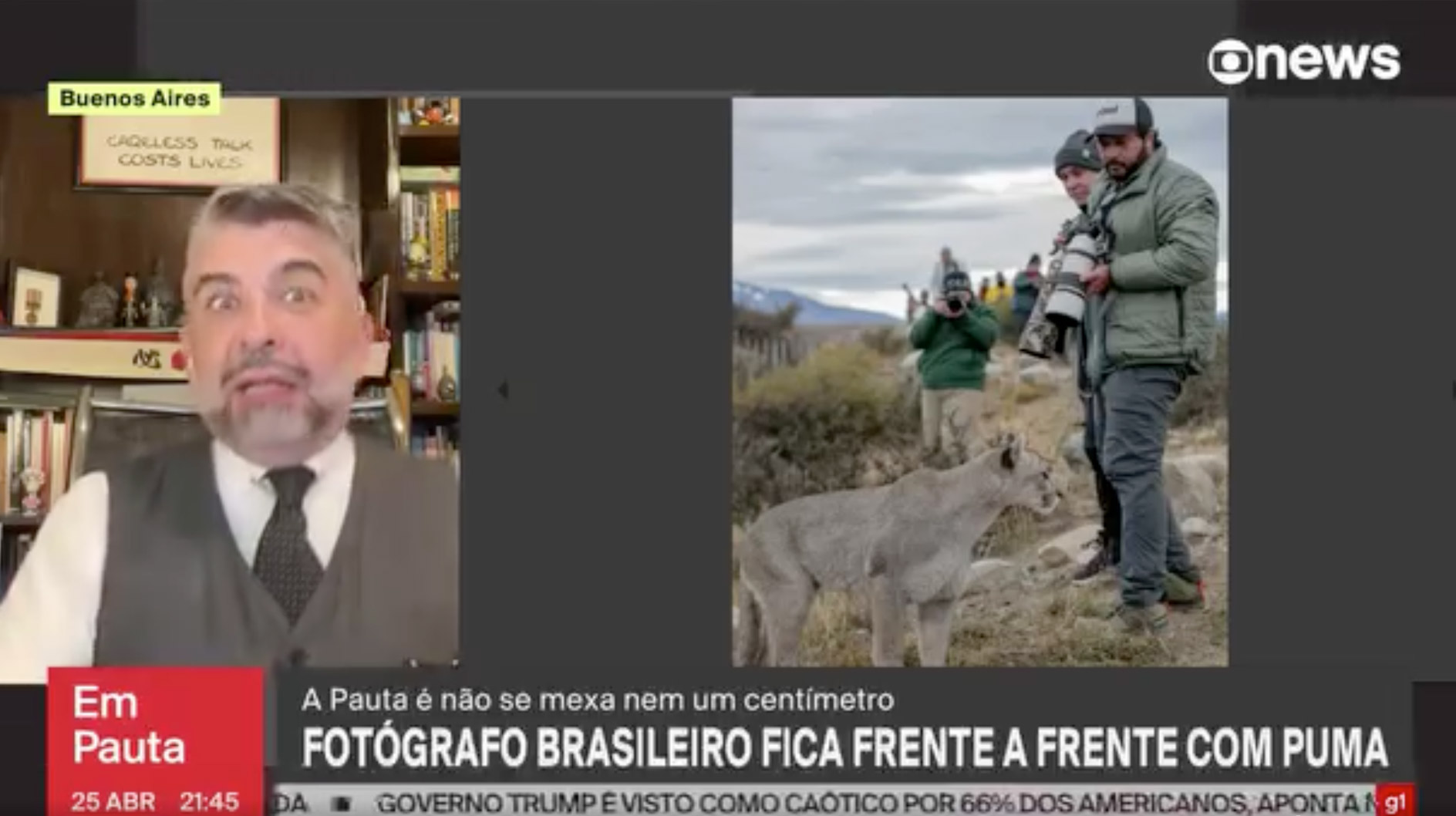 foto-puma